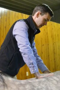 Dr. Jensen performs a chiropractic adjustment on a horse.