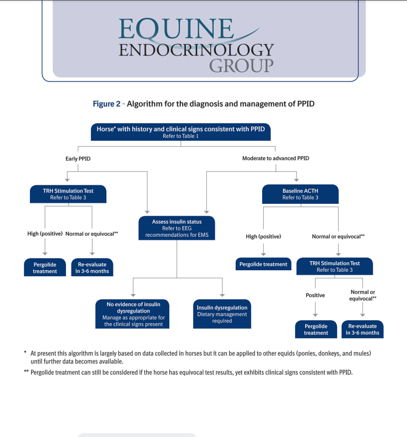 Algorithm for the diagnosis and management of PPID.
